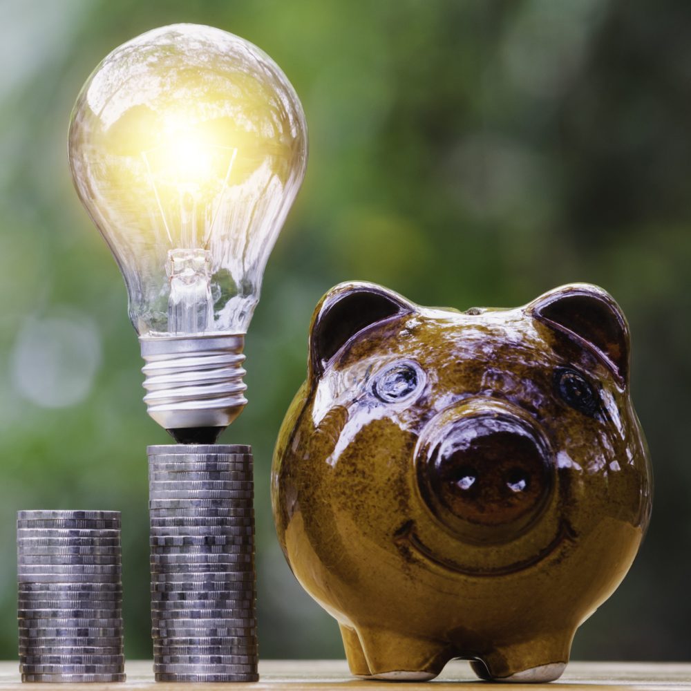 Coins and light bulb with piggy bank put on the wooden for saving money,energy concept in nature background.